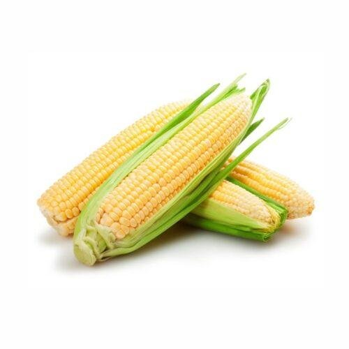 Corn (Bhutta)