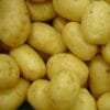 Baby Potato