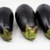 Brinjal Long