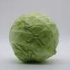 Cabbage (Patta Gobhi)