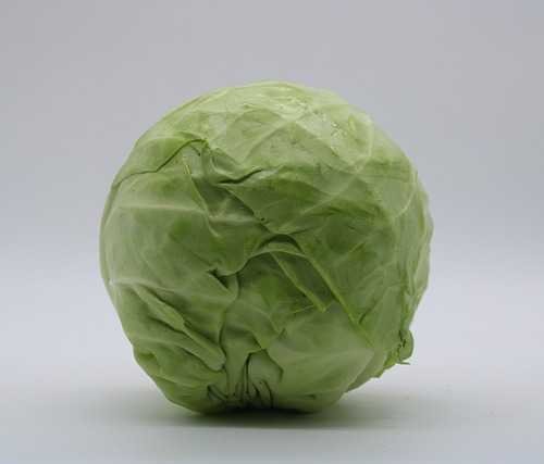 Cabbage (Patta Gobhi)
