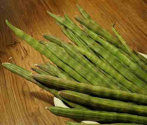 Drumstick (Sahjan)