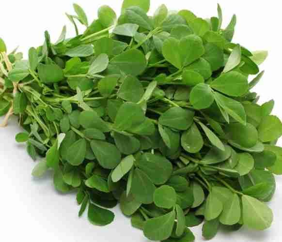 Fenugreek (Methi)