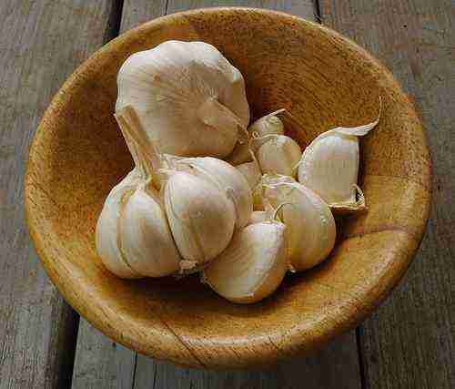 Lehsun (Garlic)