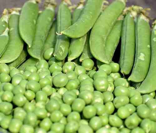 Matar (Green Peas)