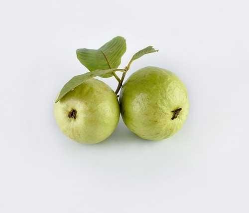 Indian Guava