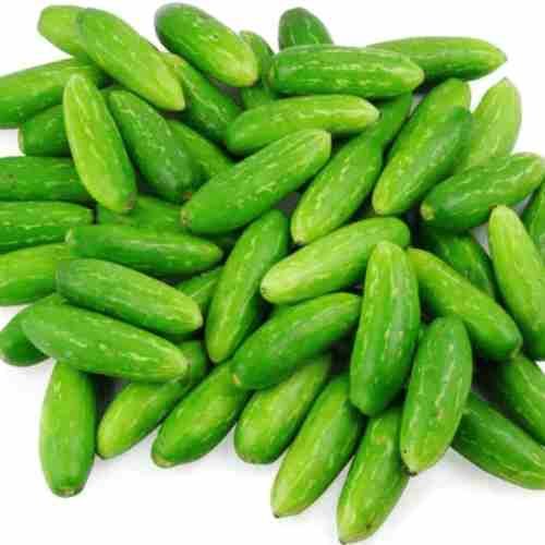 Kundru (Ivy Gourd)