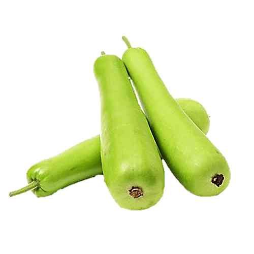 Lauki (Bottle Gourd)