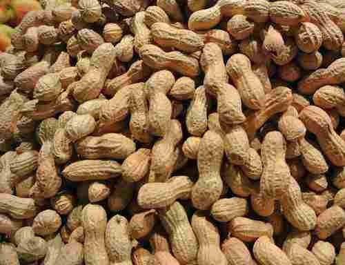 Mungfali (Peanuts)
