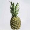 Pineapple (Ananas)