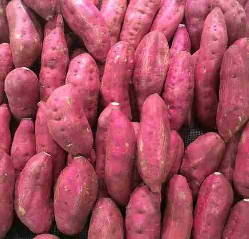 Shakarkandi (Sweet Potato)