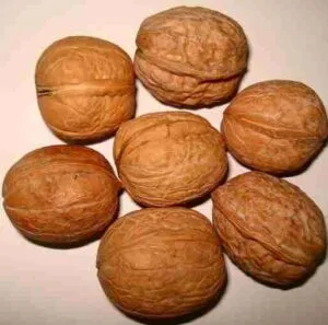 Akhrot (Walnuts)