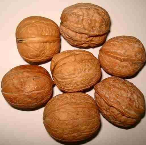 Akhrot (Walnuts)