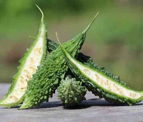 bitter gourd (karela)