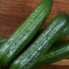 English cucumber