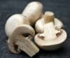 Button Mushroom