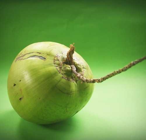 Coconut water