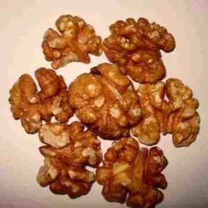 Walnut Without Shell