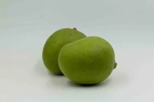 raw mango